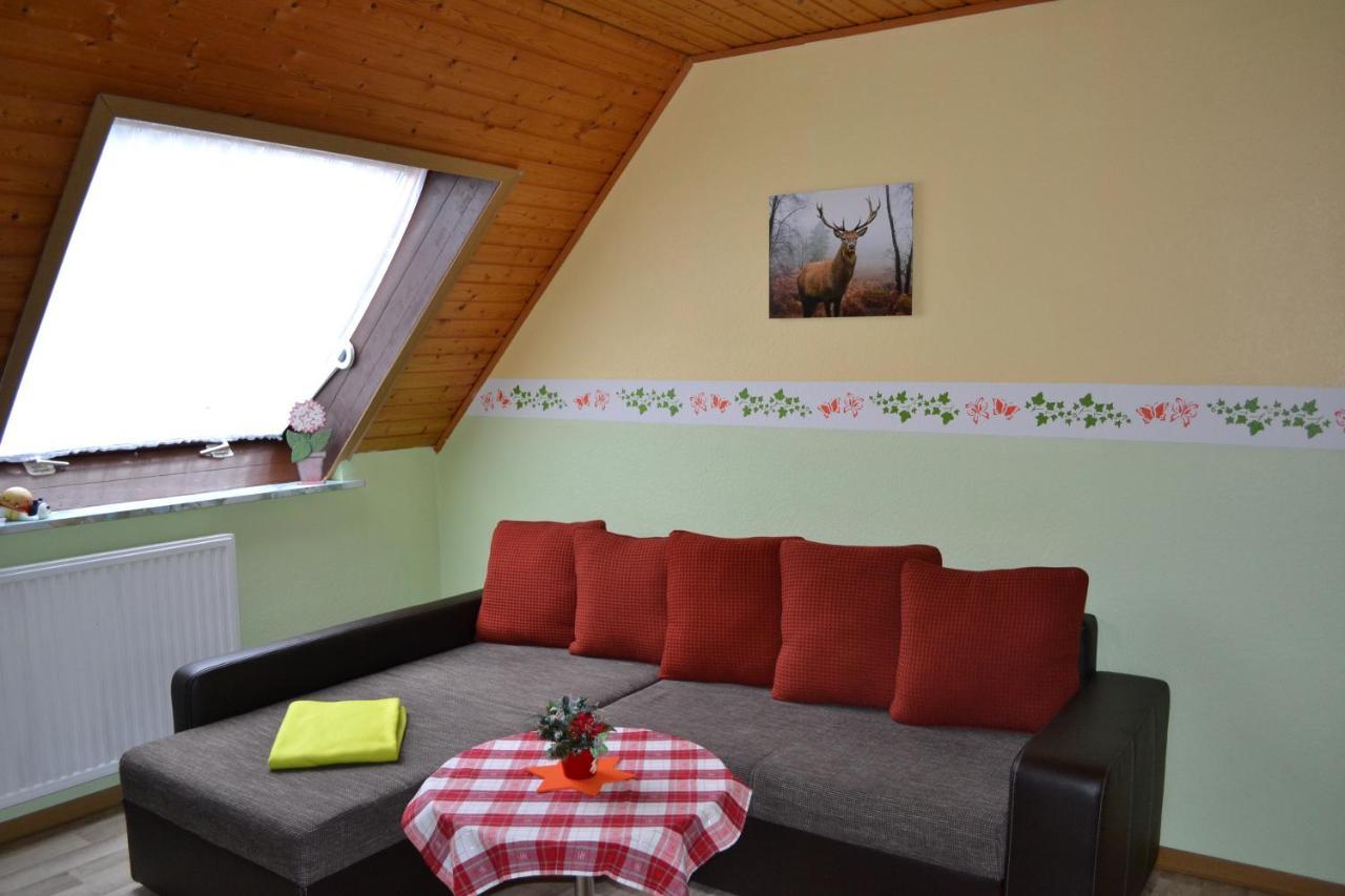 Edelweiss Apartman Schulenberg im Oberharz Kültér fotó