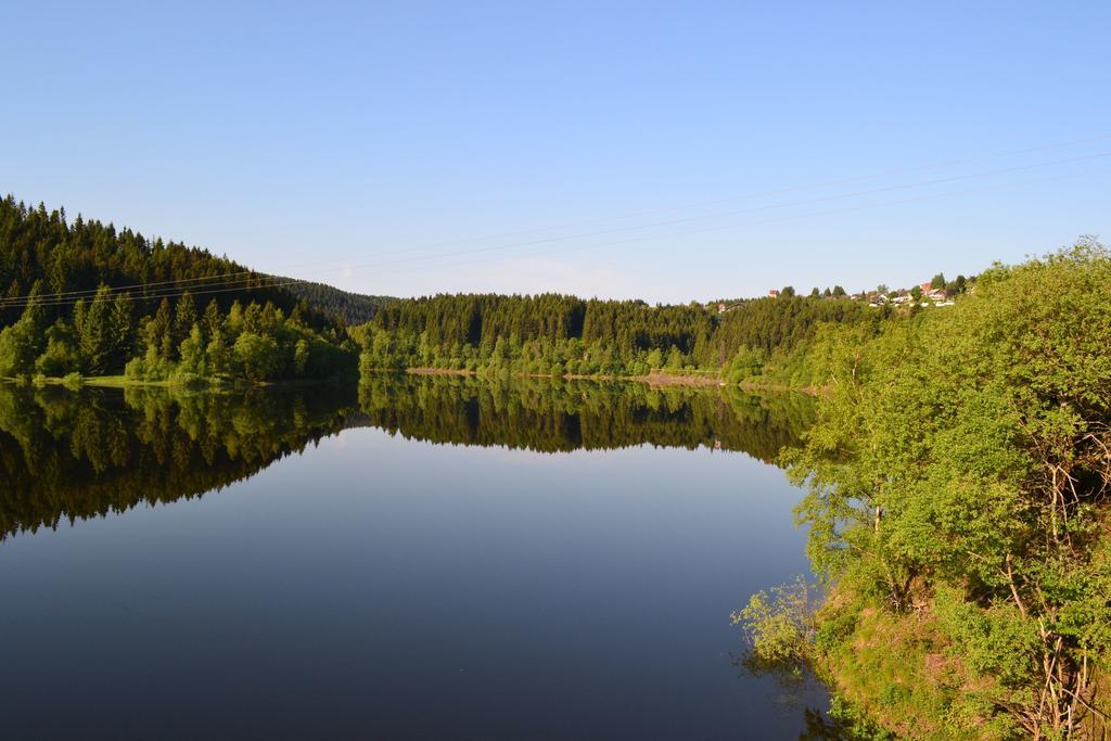 Edelweiss Apartman Schulenberg im Oberharz Kültér fotó