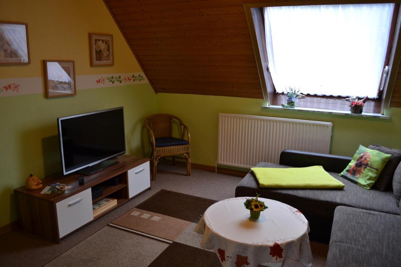 Edelweiss Apartman Schulenberg im Oberharz Kültér fotó